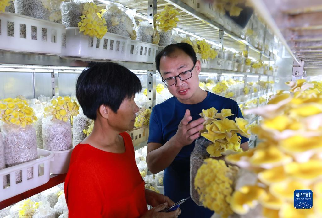 威尼斯网投真的假的